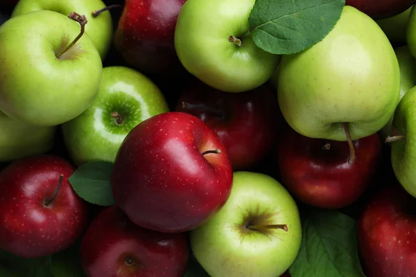 Färska Mogna Gröna Och Röda Äpplen Som Bakgrund Ovanifrån — Stockfoto