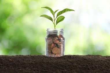 Bozuk paralarla dolu cam kavanoz ve bulanık arka planda toprakta yeşil fide