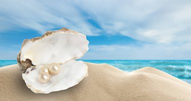 Açık istiridye kabuğu ve deniz kenarındaki kumlu sahilde beyaz inciler. Metin için boşluk