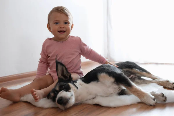 Bedårande Baby Och Söt Hund Fuskpäls Matta Inomhus — Stockfoto