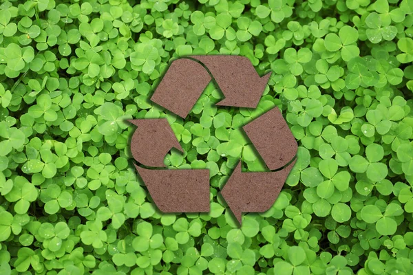 Símbolo Reciclagem Cortado Papel Kraft Folhas Verdes Frescas Fundo — Fotografia de Stock