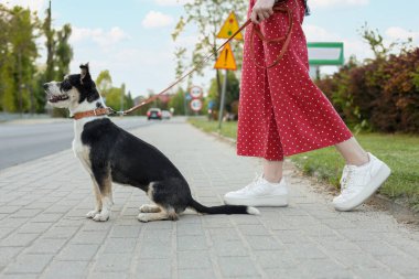 Şehir caddesinde sevimli köpeğini gezdiren bir kadın.
