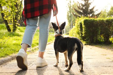 Parkta sevimli köpeğini gezdiren bir kadın.