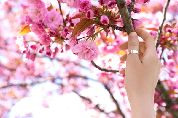 Молода Жінка Тримає Гілку Квітучого Дерева Сакури Відкритому Повітрі Крупним — стокове фото