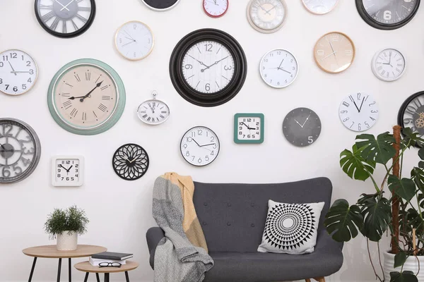 Mobiliário Confortável Bela Planta Sala Coleção Diferentes Relógios Parede Branca — Fotografia de Stock