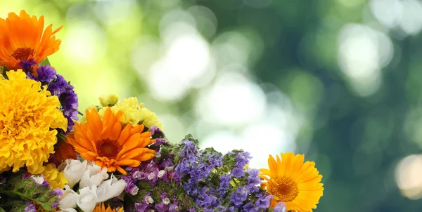 Stock image Beautiful wild flowers outdoors on sunny day, space for text. Banner design