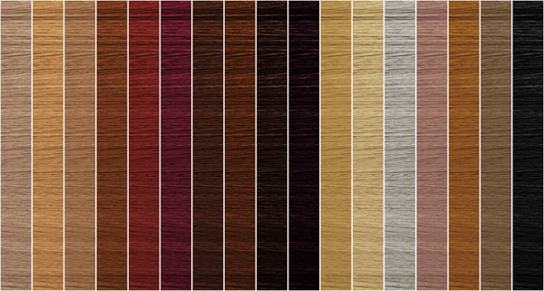 Hair colors palette, top view. Banner design