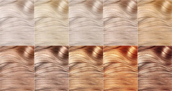 Hair colors palette, top view. Various swatches