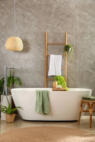 Baignoire Blanche Moderne Belles Plantes Intérieur Vertes Dans Salle Bain — Photo