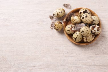 Taze bıldırcın yumurtası ve tüyleri beyaz ahşap masada, düz yerde. Metin için boşluk