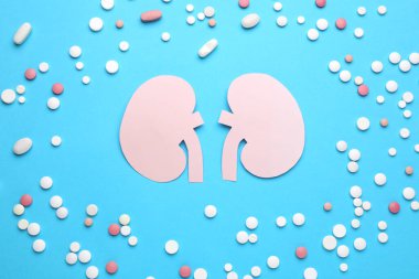 Açık mavi arka planda böbrek ve haplardan yapılmış kağıt kesiği.