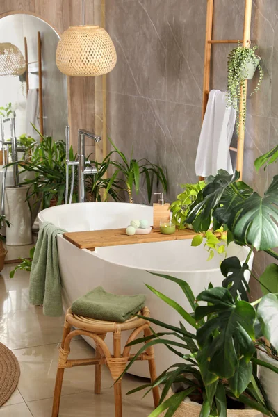 Baignoire Blanche Moderne Belles Plantes Intérieur Vertes Dans Salle Bain — Photo