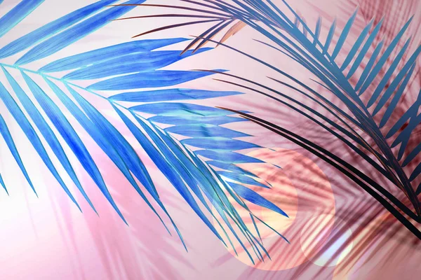 Modré Palmové Větve Stíny Světle Růžovém Pozadí Letní Večírek — Stock fotografie