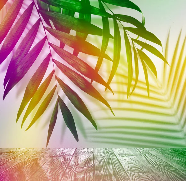 Palm Branches Wooden Table Light Background Color Tone Effect Summer — Stock Photo, Image