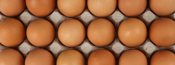 Carton Chicken Eggs Background Top View Banner Design — Stock Photo, Image