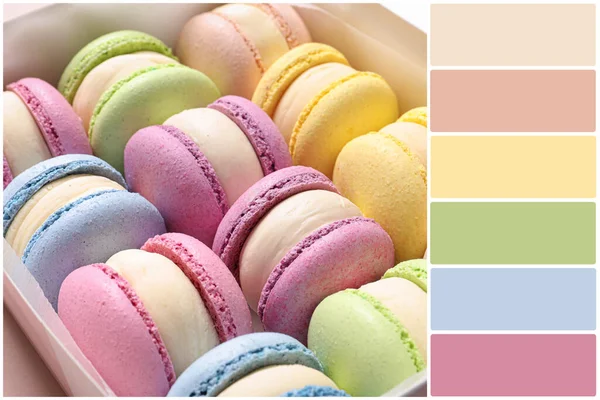 Color Palette Many Delicious Macarons Box Closeup Collage — Stock Photo, Image