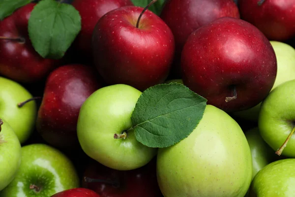 Fresh Ripe Green Red Apples Background Top View — Stock Photo, Image