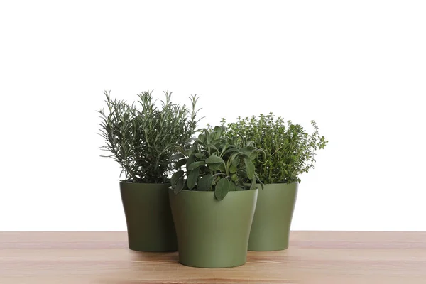 Pots Thyme Sage Rosemary Wooden Table White Background — Zdjęcie stockowe