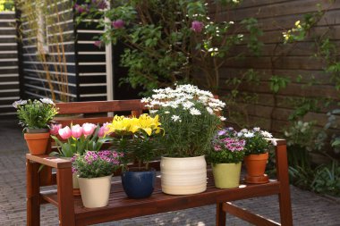 Bir sürü güzel çiçek açan bitkiler var. Ağaçtan bir bankta, açık havada.