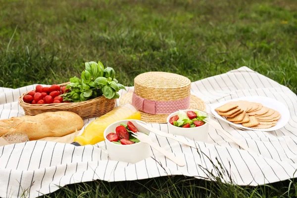 Picknickdecke Mit Saft Und Essen Auf Grünem Gras — Stockfoto