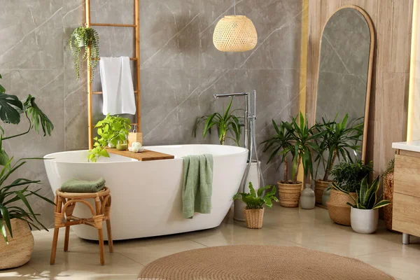 Сучасна Біла Ванна Красиві Зелені Кімнатні Рослини Ванній Дизайн Інтер — стокове фото