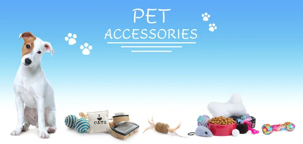 Design Banner Publicidade Para Pet Shop Cão Bonito Acessórios Diferentes — Fotografia de Stock