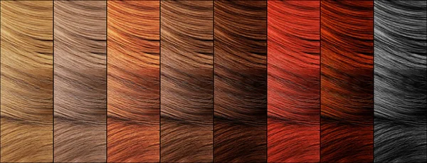 Hair Colors Palette Top View Banner Design — Stock Photo, Image