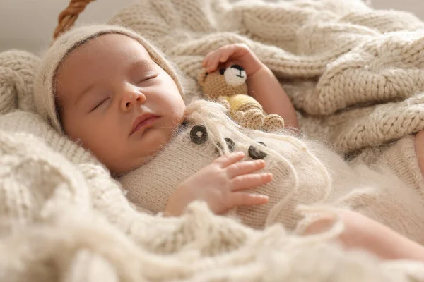 Adorable Bebé Recién Nacido Con Oso Juguete Durmiendo Cuadros Punto — Foto de Stock