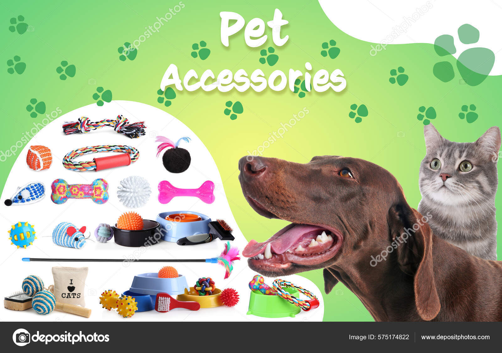 Advertising Poster Design Pet Shop Cute Dog Cat Different