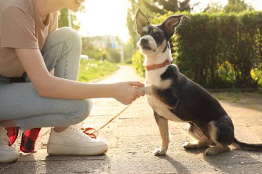 Parkta sevimli köpeğiyle genç bir kız, yakın plan.