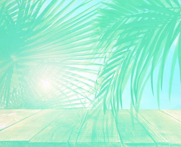 Palmiye Dalları Arka Planda Ahşap Masa Soluk Efektli Turkuazlı Yaz — Stok fotoğraf