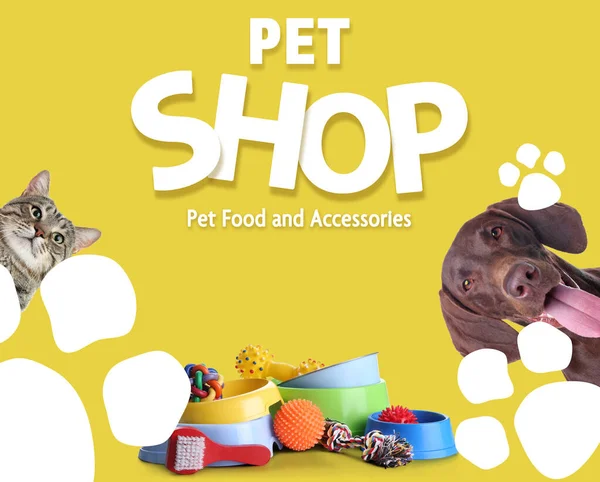 Diseño Póster Publicitario Para Tienda Mascotas Lindo Gato Perro Diferentes —  Fotos de Stock