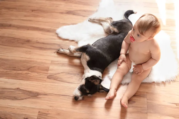 Bedårande Baby Med Napphållare Och Söt Hund Fuskpäls Matta Ovan — Stockfoto