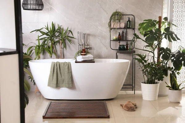 Modern White Tub Beautiful Green Houseplants Bathroom Interior Design — Stock Photo, Image