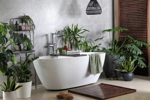 Moderne Weiße Badewanne Und Schöne Grüne Zimmerpflanzen Badezimmer Innenarchitektur — Stockfoto