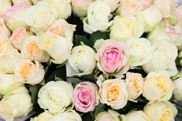 Beaucoup Belles Roses Comme Arrière Plan Vue Dessus — Photo
