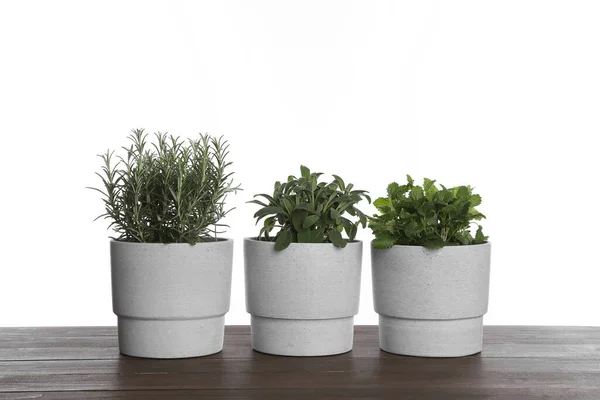 Pots Sage Mint Rosemary Wooden Table White Background — Stok Foto