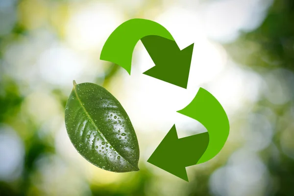 Recycling Symbool Gemaakt Van Pijlen Groen Blad Met Dauw Wazige — Stockfoto