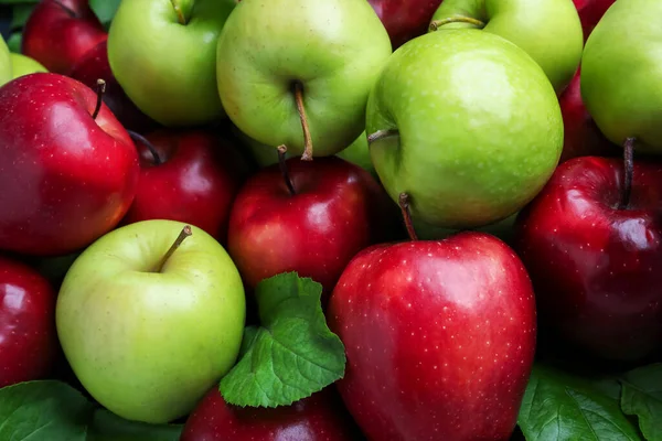 Färska Mogna Gröna Och Röda Äpplen Som Bakgrund Närbild — Stockfoto