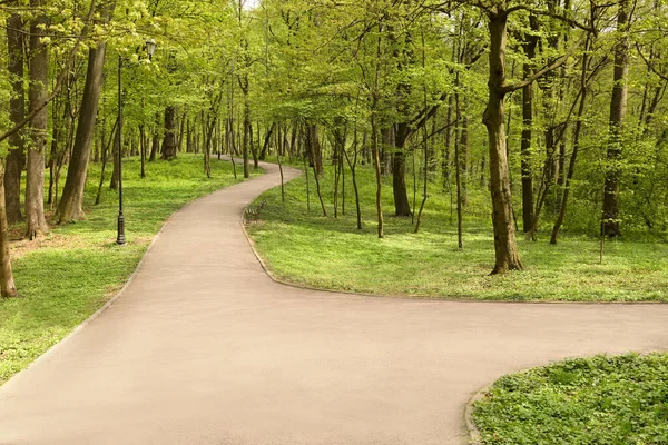 Hermoso Parque Verde Soleado Día Primavera — Foto de Stock