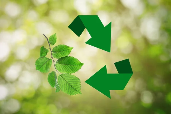 背景がぼやけている緑の葉を持つ矢印と枝で作られたリサイクルシンボル ぼけ効果 — ストック写真