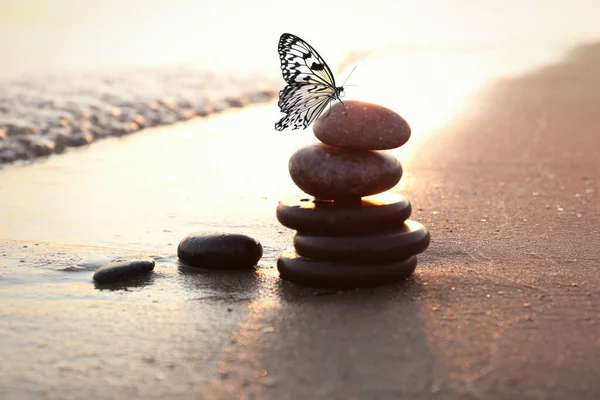 夕日の海の近くの砂浜の美しい蝶と石 禅の概念 — ストック写真