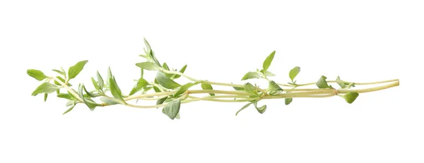 Aromatic Fresh Green Thyme Isolated White — Stock Photo, Image