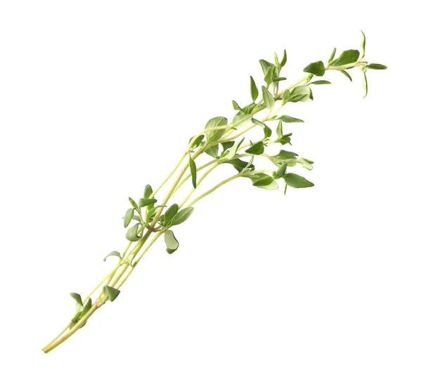 Aromatic Fresh Green Thyme Isolated White — Stock Photo, Image