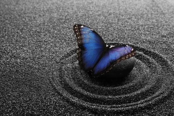 Красива Метелик Камінь Чорному Піску Візерунком Концепція Zen — стокове фото