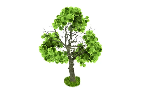 Strom Zelenými Listy Tvaru Recyklačního Symbolu Bílém Pozadí — Stock fotografie