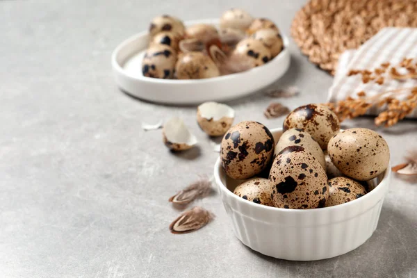 Açık gri masada kasede taze bıldırcın yumurtası. Metin için boşluk
