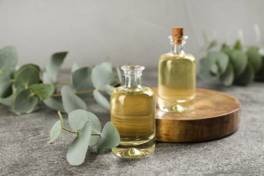 Okaliptüs şişeleri gri masa üzerinde gerekli yağ ve bitki dalları