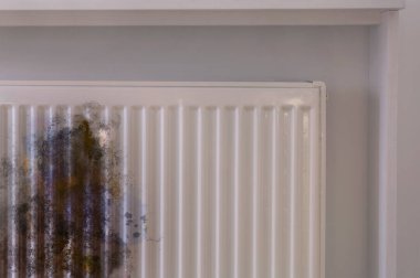 Modern panel radyatörü içerideki pasdan etkilenmiş.