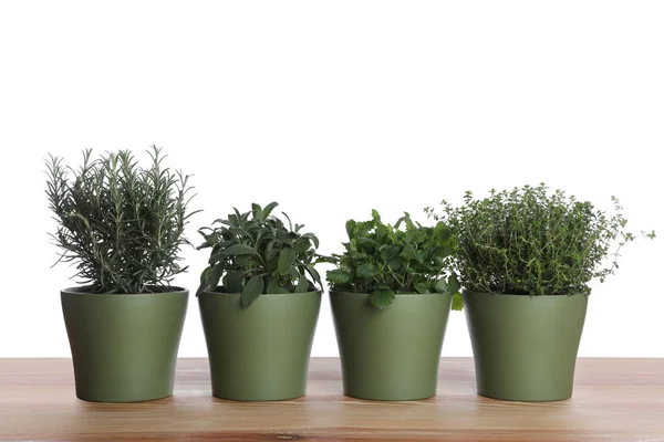Pots Thyme Sage Mint Rosemary Wooden Table White Background — Fotografia de Stock